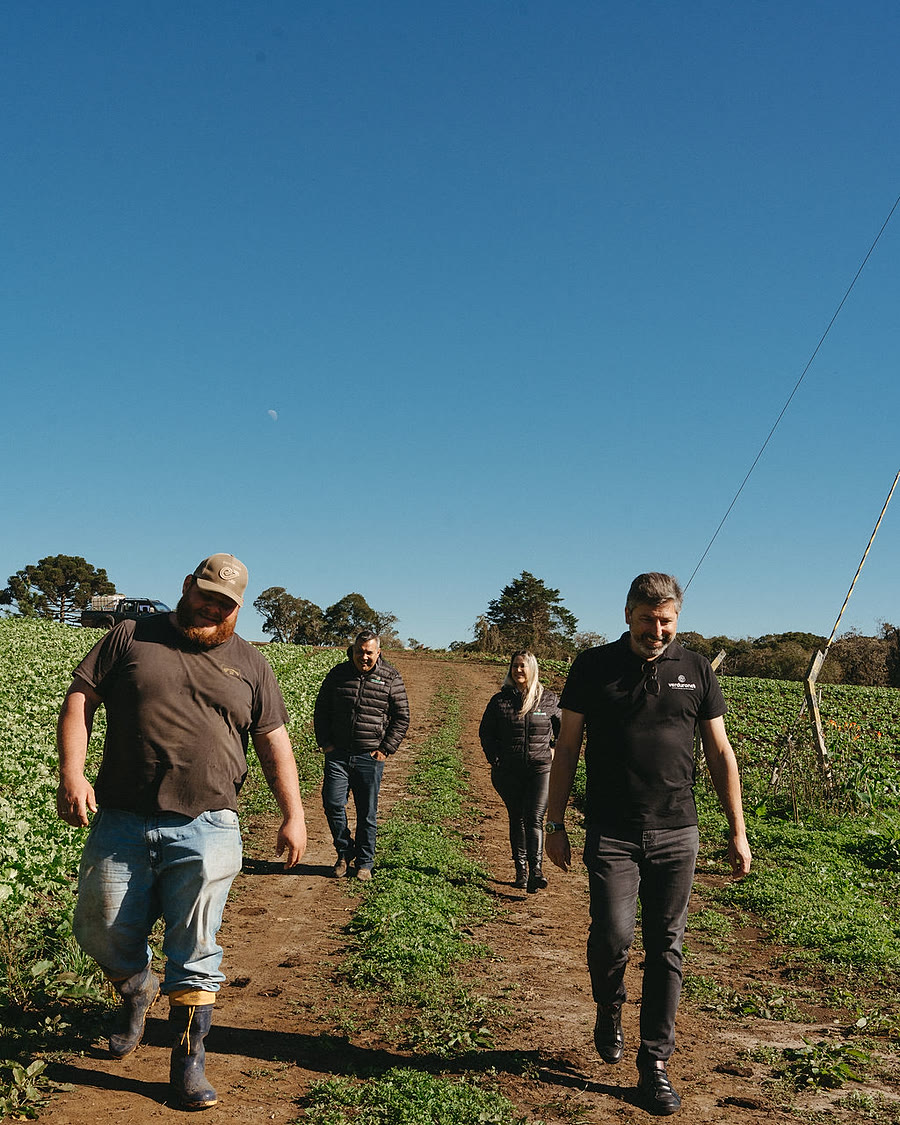 Equipe da Verduranet caminhando entre os canteiros de alface de um produtor parceiro
